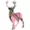 Pink Camo Buck Hunting Decal / Sticker 14