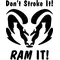 Don't Stroke It, RAM It Decal / Sticker