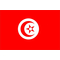 Tunisia Flag Decal / Sticker