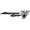 Arctic Cat Decal / Sticker 11