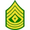Army 1SG Decal / Sticker 01