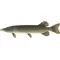 Northern Pike Fish Decal / Sticker 01