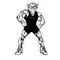 Wrestling Buffalo Mascot Decal / Sticker wr4