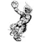 Basketball Comets Mascot Decal / Sticker 4