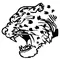 Leopards Mascot Decal / Sticker 3