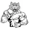 Track and Field Leopards Mascot Decal / Sticker 3