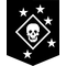 Marine Raider Decal / Sticker 01