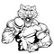 Track and Field Cougars / Panthers Mascot Decal / Sticker 3