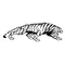 Tigers Torso Mascot Decal / Sticker 3