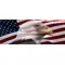 American Flag Bald Eagle Decal / Sticker 35