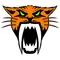 Orange Arctic Cat Head Secal / Sticker 12