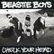 Beastie Boys Check Your Head Decal / Sticker 05