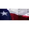 Texas Flag Decal / Sticker 02