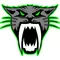 Arctic Cat Head Decal / Sticker 13 Green