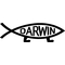 Darwin Fish Decal / Sticker 03