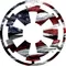 Star Wars Imperial Texas Flag Decal / Sticker 05