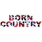 Born Country Confederate Flag Decal / Sticker 01