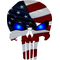 American Flag Punisher Decal / Sticker 84