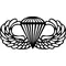 Army Jump Wings Decal / Sticker 01
