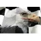 Checkered Flag Eagle Decal / Sticker 111