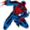 Spiderman Decal / Sticker 16