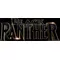 Black Panther Decal / Sticker 09