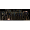 Black Panther Decal / Sticker 09