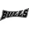 Bulls Decal / Sticker 01