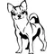 Chihuahua  Decal / Sticker 03