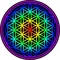 Flower of Life Decal / Sticker 03