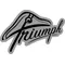 Triumph Decal / Sticker 51