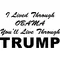 I Lived Through OBAMA, You'll Live Through TRUMP Decal / Sticker 10