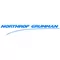 Northrop Grumman Decal / Sticker 01