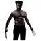 X-men Wolverine Decal / Sticker 08