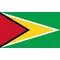 Guyana Flag Decal / Sticker 01