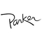 Parker Guitars Decal / Sticker 03