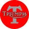 Triumph Decal / Sticker 65