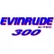 Evinrude E-TEC 300 Decal / Sticker 11