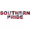 Southern Pride Confederate Flag Decal / Sticker 01