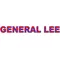 General Lee Confederate Flag Lettering Roof Decal / Sticker 04