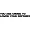 You Are Unwise To Lower Your Defenses Decal / Sticker 01