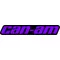 Purple Can-Am Decal / Sticker 63