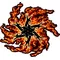 True Fire Shuriken Decal / Sticker