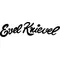 Evel Knievel Decal / Sticker 13