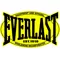 Everlast Decal / Sticker 09