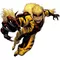 X-men Sabretooth Decal / Sticker 01