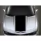 16.5 Inch Wide Pin Stripe Racing Stripe Decal / Sticker 25