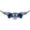 Blue Winged Skulls Decal / Sticker J3