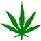 Pot Leaf Decal / Sticker