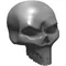3D Carbon Fiber Skull 02 Decal / Sticker